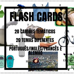 Flash Cards Temáticos - 4 idiomas
