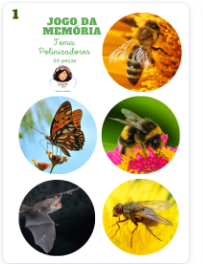 Jogo da Memória Polinizadores PDF