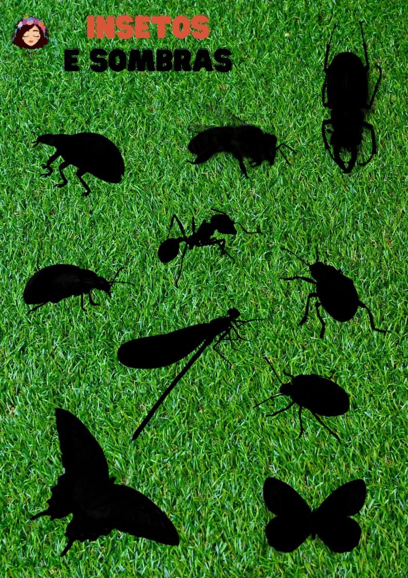 INSETOS E SOMBRAS 2