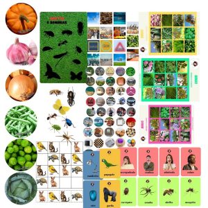 PACK 6 JOGOS INFANTIS
