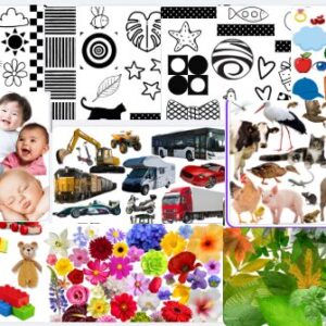 painéis PARA bebés PDF