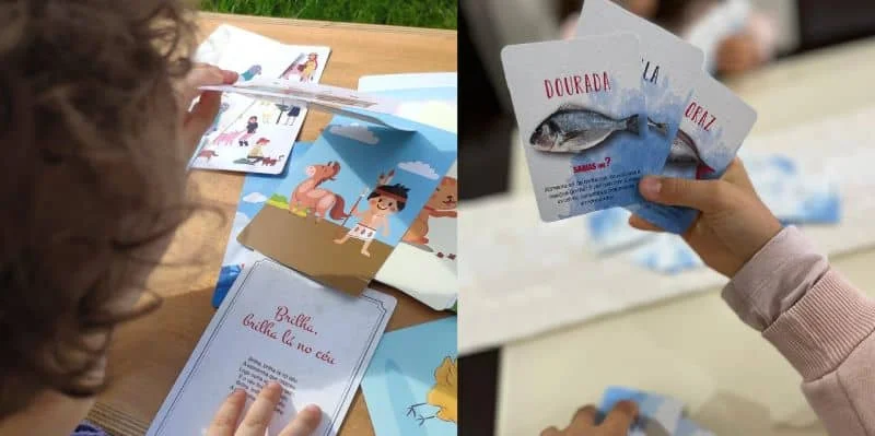 Baralhos de Cartas Educativos